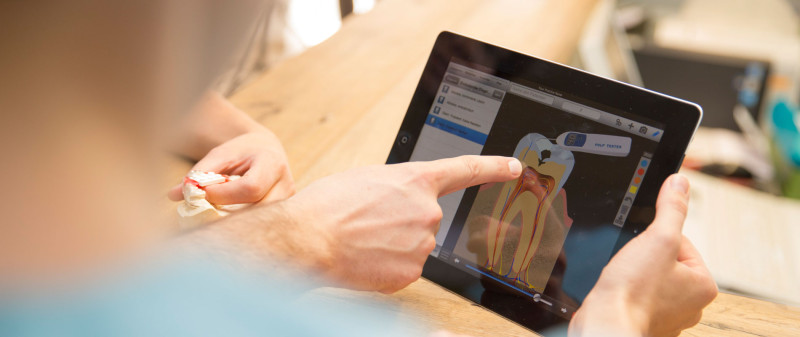 Zahnarzt erklärt Zahnstruktur auf Tablet.